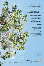 OTVORENJE IZLOŽBE „PLANIKA – ZABORAVLJENA HRANITELJICA MEDITERANA“